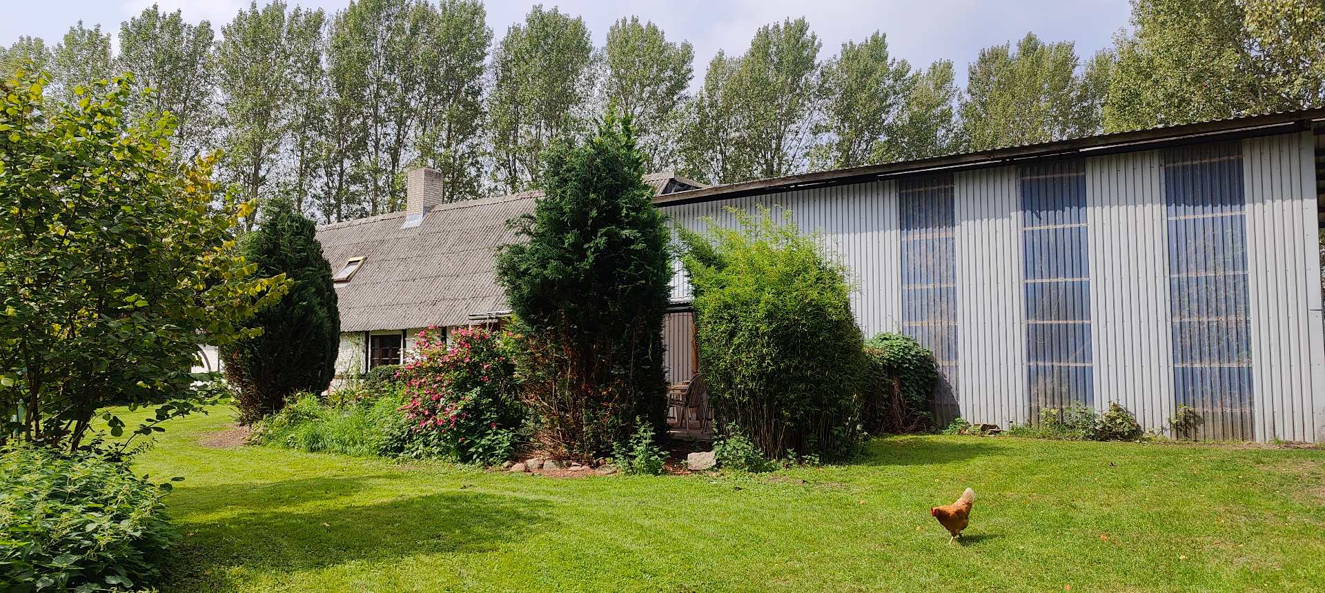 The farmhouse garden
