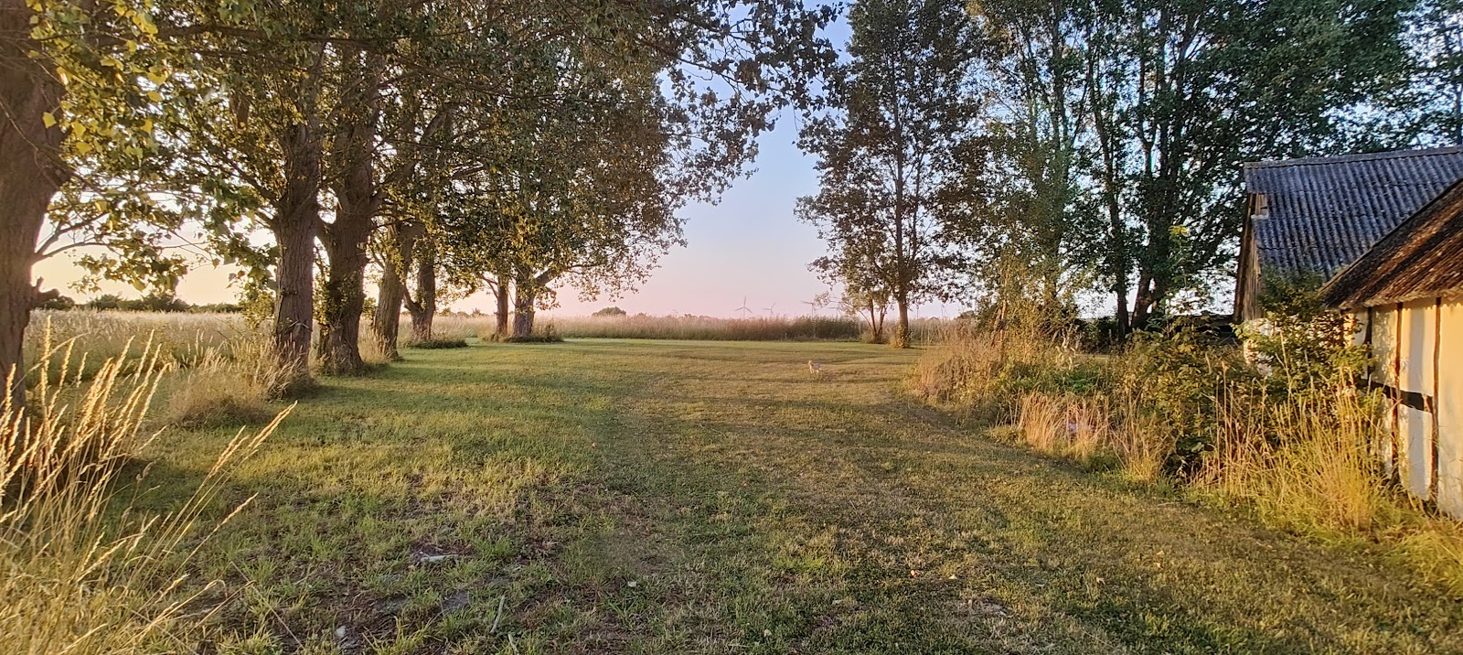 Holeby Rejsestald — photo from the Google Maps listing