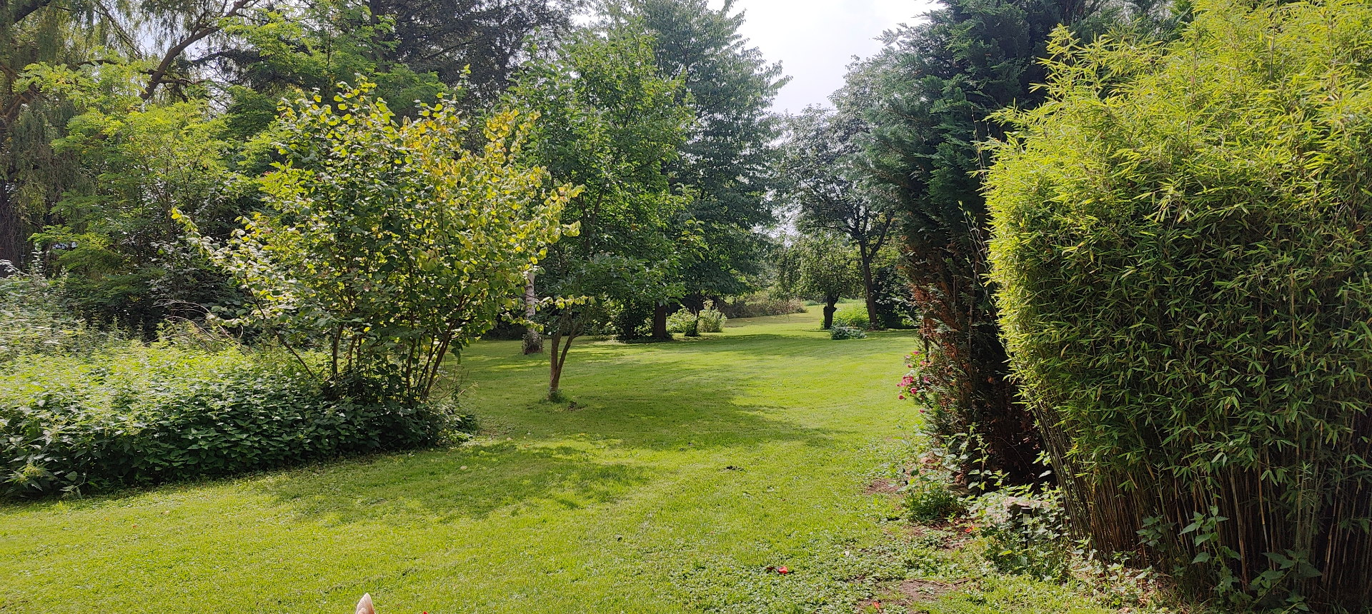 The orchard at the farmhouse