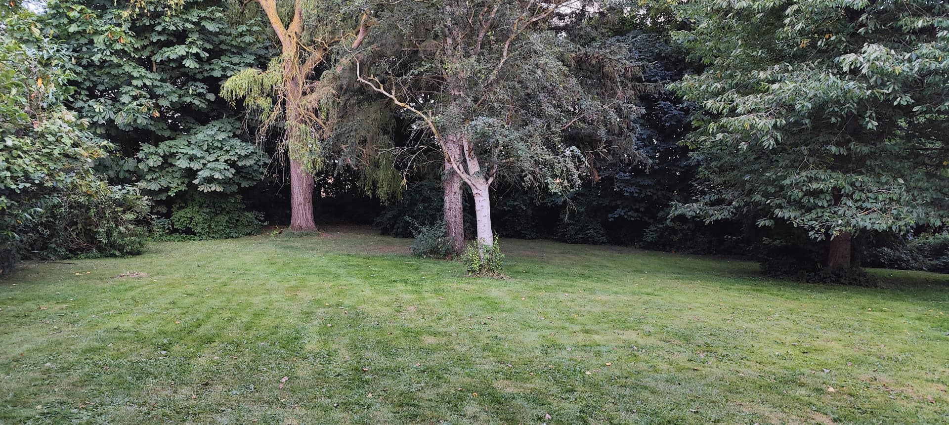Camping lawn at Holeby Rejsestald