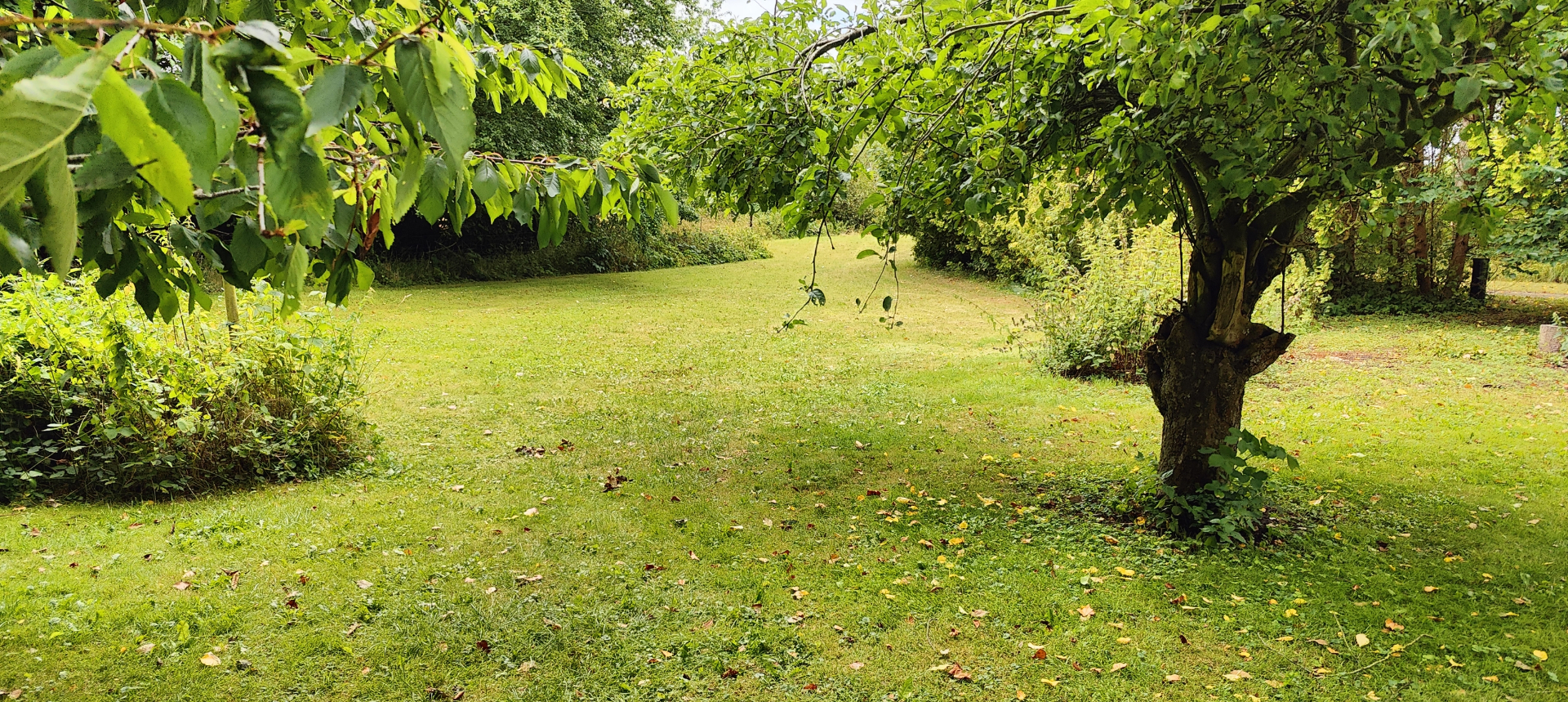 Camping spot in the orchard