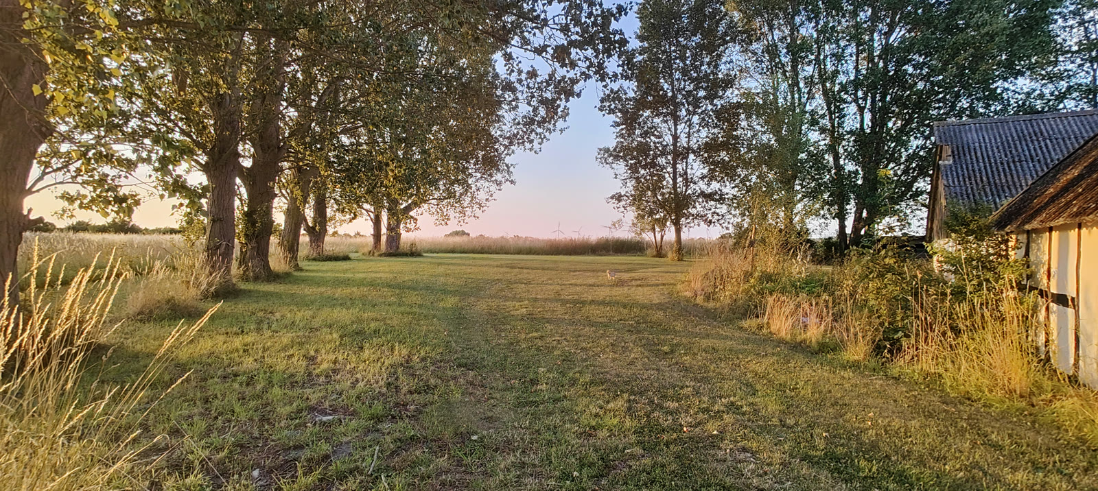 Private farm camping field, second view