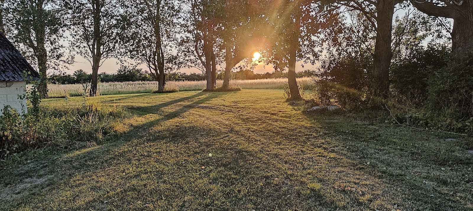 Holeby Rejsestald — photo from the Google Maps listing